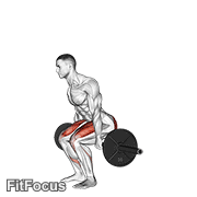 Barbell Hack Squat GIF