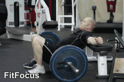 Barbell Hip Thrust animated form demonstration