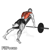 Barbell Incline Row GIF
