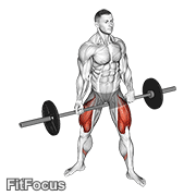 Barbell Jefferson Squat GIF