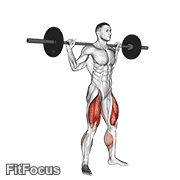 Barbell Jump Squat GIF
