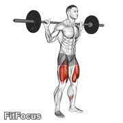Barbell Low Bar Squat GIF