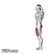 Barbell Lunge animated form demonstration