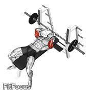 Barbell Lying Extension (lying barbell extension) GIF — animated arms exercise demonstration