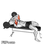 Barbell Lying Triceps Extension Skull Crusher GIF