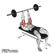 Barbell Lying Triceps Extension GIF