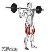 Barbell Narrow Stance Squat GIF