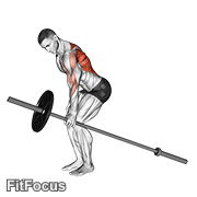 Barbell One Arm Bent Over Row GIF