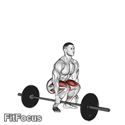 Barbell One Arm Side Deadlift GIF