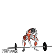 Barbell One Arm Snatch GIF