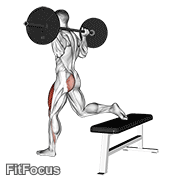 Barbell One Leg Squat exercise GIF demonstration