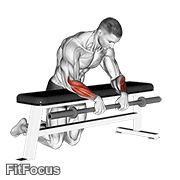 Barbell Palms Down Wrist Curl Over A Bench GIF