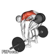 Barbell Pendlay Row GIF