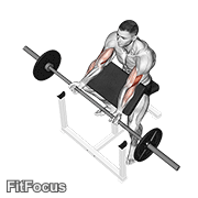 Barbell Preacher Curl GIF