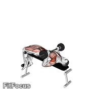 Barbell Press Sit-up GIF