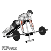 Barbell Prone Incline Curl GIF