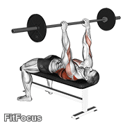 Barbell Pullover To Press GIF