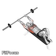Barbell Pullover GIF