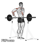 Barbell Rear Delt Raise GIF