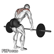 Barbell Rear Delt Row GIF — animated shoulders exercise demonstration