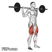 Barbell Rear Lunge GIF