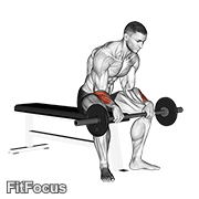 Barbell Revers Wrist Curl V. 2 GIF