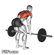Barbell Reverse Grip Bent Over Row GIF