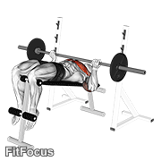 Barbell Reverse Grip Decline Bench Press GIF