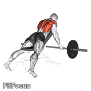 Barbell Reverse Grip Incline Bench Row GIF