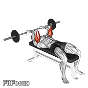 Barbell Reverse Grip Skullcrusher GIF