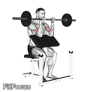 Barbell Reverse Preacher Curl GIF