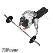 Barbell Reverse Wrist Curl GIF