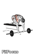 Barbell Rollerout From Bench GIF