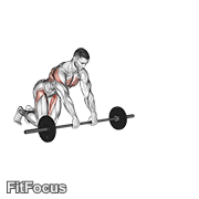 Barbell Rollerout GIF
