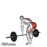 Barbell Romanian Deadlift GIF