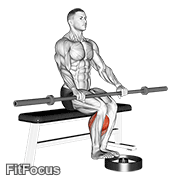 Barbell Seated Calf Raise GIF