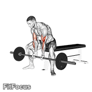Barbell Seated Close-grip Concentration Curl GIF