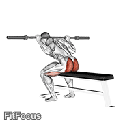 Barbell Seated Good Morning GIF