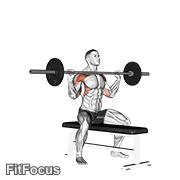 Barbell Seated Overhead Press GIF