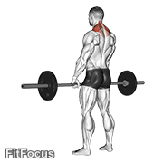 Barbell Shrug
