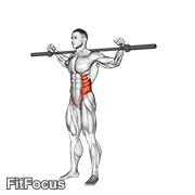 Barbell Side Bent V. 2 GIF
