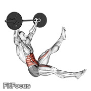Barbell Sitted Alternate Leg Raise GIF