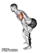Barbell Skier GIF — animated shoulders exercise demonstration