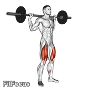 Barbell Speed Squat GIF