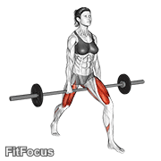 Barbell Split Squat V. 2 exercise GIF demonstration