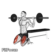Barbell Squat (on Knees) exercise GIF demonstration