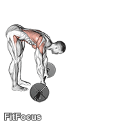 Barbell Standing Ab Rollerout GIF