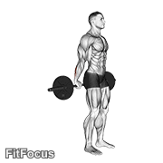 Barbell Standing Back Wrist Curl GIF