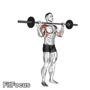 Barbell Standing Bradford Press GIF