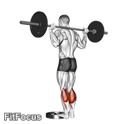Barbell Standing Calf Raise GIF